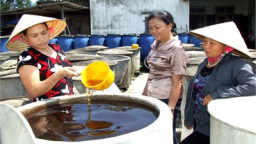 Vinastas xin hủy toàn bộ thông tin về nước mắm